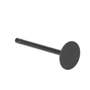 124139 | Intake Valve | Ford 1920 2120 3415 | New Holland G6030 G6035 L150 L160 L170 L175 L465 L565 LS150 LS160 LS170 LX485 LX565 MC35 T1510 T1520 T2210 T2220 T2310 T2320 T2330 T2410 T2420 TC31 TC34DA TC35 TC35D TC35DA TC40 TC40D TC40DA | | SBA120166350 124139 | Intake Valve | Ford 1920 2120 3415 | New Holland G6030 G6035 L150 L160 L170 L175 L465 L565 LS150 LS160 LS170 LX485 LX565 MC35 T1510 T1520 T2210 T2220 T2310 T2320 T2330 T2410 T2420 TC31 TC34DA TC35 TC35D TC35DA TC40 TC40D TC40DA | | SBA120166350