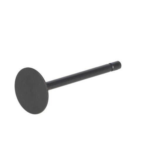 124139 | Intake Valve | Ford 1920 2120 3415 | New Holland G6030 G6035 L150 L160 L170 L175 L465 L565 LS150 LS160 LS170 LX485 LX565 MC35 T1510 T1520 T2210 T2220 T2310 T2320 T2330 T2410 T2420 TC31 TC34DA TC35 TC35D TC35DA TC40 TC40D TC40DA |  | SBA120166350
