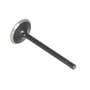 124139 | Intake Valve | Ford 1920 2120 3415 | New Holland G6030 G6035 L150 L160 L170 L175 L465 L565 LS150 LS160 LS170 LX485 LX565 MC35 T1510 T1520 T2210 T2220 T2310 T2320 T2330 T2410 T2420 TC31 TC34DA TC35 TC35D TC35DA TC40 TC40D TC40DA | | SBA120166350 124139 | Intake Valve | Ford 1920 2120 3415 | New Holland G6030 G6035 L150 L160 L170 L175 L465 L565 LS150 LS160 LS170 LX485 LX565 MC35 T1510 T1520 T2210 T2220 T2310 T2320 T2330 T2410 T2420 TC31 TC34DA TC35 TC35D TC35DA TC40 TC40D TC40DA | | SBA120166350