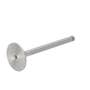 181439 | Intake Valve | Zetor 8111 8145 8211 8245 9111 9145 9211 10111 10145 10211 10245 11211 11245 12111 12145 12245 14145 16245 | | 89005915 181439 | Intake Valve | Zetor 8111 8145 8211 8245 9111 9145 9211 10111 10145 10211 10245 11211 11245 12111 12145 12245 14145 16245 | | 89005915