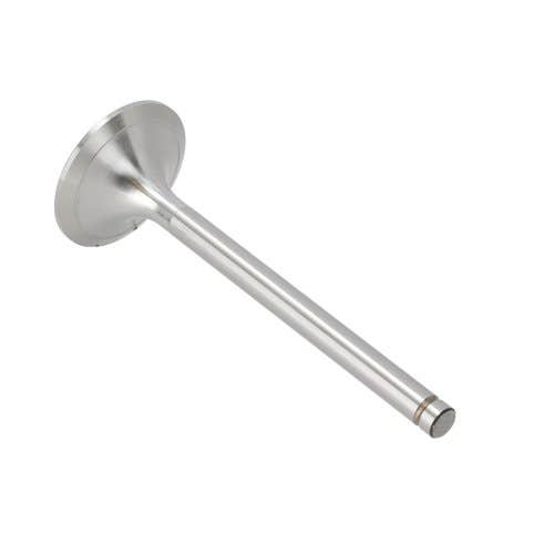 181439 | Intake Valve | Zetor 8111 8145 8211 8245 9111 9145 9211 10111 10145 10211 10245 11211 11245 12111 12145 12245 14145 16245 |  | 89005915