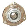 454060 | Clutch Release Carrier | International | Farmall | IH Hydro 84 248 258 268 278 385 474 484 485 574 584 674 684 685 784 785 884 885 | Case IH 395 495 585 595 685 695 885 895 995 | | 398236R1 | 3129030R2 | 712902C2 | 71230R2 454060 | Clutch Release Carrier | International | Farmall | IH Hydro 84 248 258 268 278 385 474 484 485 574 584 674 684 685 784 785 884 885 | Case IH 395 495 585 595 685 695 885 895 995 | | 398236R1 | 3129030R2 | 712902C2 | 71230R2