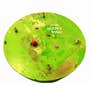 425799 | Front Air Bag Assembly | John Deere 9430T 9460RT 9510RT 9530T 9560RT 9630T | | RE242233 | RE248899 | RE248484 425799 | Front Air Bag Assembly | John Deere 9430T 9460RT 9510RT 9530T 9560RT 9630T | | RE242233 | RE248899 | RE248484
