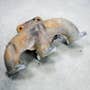 413718 | Exhaust Manifold | Kubota B21 B26 B1700 B2100 B2301 B2320 B2400 B2401 B2410 B2601 B2620 B2630 B2650 B2920 B7500 B7510 B7610 D905 D1005 D1105 D1305 LX2610 ZD326 ZD331 ZD1211 | | 1G700-12310 413718 | Exhaust Manifold | Kubota B21 B26 B1700 B2100 B2301 B2320 B2400 B2401 B2410 B2601 B2620 B2630 B2650 B2920 B7500 B7510 B7610 D905 D1005 D1105 D1305 LX2610 ZD326 ZD331 ZD1211 | | 1G700-12310