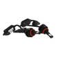 169606 | LED Headlight Conversion Kit | H11 | 169606 | LED Headlight Conversion Kit | H11 |