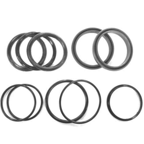 Loader Hydraulic Cylinder Seal Kit fits Dual 320 325 350 13163 Loader Hydraulic Cylinder Seal Kit fits Dual 320 325 350 13163