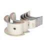 106577 | Main Bearings - .020" Oversize - Set | International | Farmall | IH C248 I6 M MV O6 OS6 T6 T6 W6 | | 377981R91 106577 | Main Bearings - .020" Oversize - Set | International | Farmall | IH C248 I6 M MV O6 OS6 T6 T6 W6 | | 377981R91