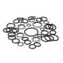 169492 | Hydraulic Lift Cover and Cylinder O-Ring Kit - 3-3/4" Piston | Ford 5000 5100 5190 5200 7000 7100 7200 | | 81825773 | E2152T9 | B5001 | 1934245 169492 | Hydraulic Lift Cover and Cylinder O-Ring Kit - 3-3/4" Piston | Ford 5000 5100 5190 5200 7000 7100 7200 | | 81825773 | E2152T9 | B5001 | 1934245