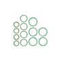 149203 | O-Ring Assortment Kit | Single Application | Case SR200 SR210 SR210B SR220 SR220B SR240 SR240B SR250 SR270 SR270B SV250 SV250B SV280 SV280B SV300 SV300B SV340 TR270 TR270B TR310 TR310B TR320 TR320B TR340 TR340B TV380 | 149203 | O-Ring Assortment Kit | Single Application | Case SR200 SR210 SR210B SR220 SR220B SR240 SR240B SR250 SR270 SR270B SV250 SV250B SV280 SV280B SV300 SV300B SV340 TR270 TR270B TR310 TR310B TR320 TR320B TR340 TR340B TV380 |