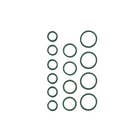 149380 | O-Ring Kit | Bobcat A220 A300 S130 S150 S160 S175 S185 S205 S220 S250 S300 S330 T140 T180 T190 T200 T250 T300 T320 331 331E 335 337 341 430 430 435 435 773 863 864 873 883 |