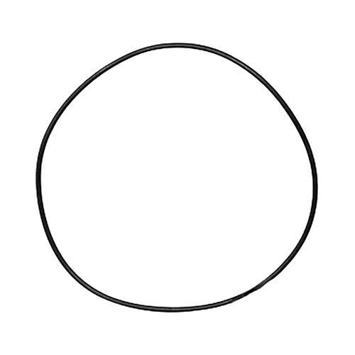192179 | O-Ring | New Holland L140 L150 L160 L170 L175 L180 L185 L190 L465 L565 L865 LS140 LS150 LS160 LS170 LS175 LS180 LS180B LS185B LS190 LS190B LX465 LX485 LX565 LX665 LX865 LX885 LX985 |  | 86504449