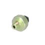 151005 | Oil Pressure Switch | Kubota B5200 B6100 B6200 B7100 B7200 G3200 G4200 G5200 G6200 R310B R410 R410 R410B R420 R420 R510 R510 R510B R520 R520 | | 15841-39010 151005 | Oil Pressure Switch | Kubota B5200 B6100 B6200 B7100 B7200 G3200 G4200 G5200 G6200 R310B R410 R410 R410B R420 R420 R510 R510 R510B R520 R520 | | 15841-39010