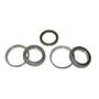 189016 | Pinion Carrier Bearing Kit | Case 450B 450B | 189016 | Pinion Carrier Bearing Kit | Case 450B 450B |