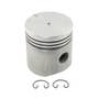 185436 | Piston - .030" Overbore | Single Cylinder | Ford 172 800 801 900 901 4000 4130 | | EAF6108H | 382NP30 185436 | Piston - .030" Overbore | Single Cylinder | Ford 172 800 801 900 901 4000 4130 | | EAF6108H | 382NP30