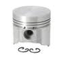 185898 | Piston - .25 mm Oversize | Single Cylinder | Yanmar F16 YM140 YM147 YM1601 YM1602 YM1610 YM1702 3T75 | | 721467-22900 185898 | Piston - .25 mm Oversize | Single Cylinder | Yanmar F16 YM140 YM147 YM1601 YM1602 YM1610 YM1702 3T75 | | 721467-22900