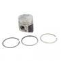 124105 | Piston and Rings - .020" Oversize | Single Cylinder | Ford 1720 2120 3415 | New Holland Boomer 2030 Boomer 3040 G6030 G6035 L140 L150 L465 L565 LS140 LS150 LS160 LX465 LX565 T1510 T1520 T2210 | | SBA115016814 | SBA115017541 | SBA115016814 124105 | Piston and Rings - .020" Oversize | Single Cylinder | Ford 1720 2120 3415 | New Holland Boomer 2030 Boomer 3040 G6030 G6035 L140 L150 L465 L565 LS140 LS150 LS160 LX465 LX565 T1510 T1520 T2210 | | SBA115016814 | SBA115017541 | SBA115016814