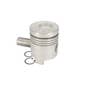 166453 | Piston and Rings - .020" Oversize | Single Cylinder | Ford BSD326 158 231 233 2000 2100 2110 2120 2300 2310 2600 2810 | | A1736N20 | D6NN6108F-20 166453 | Piston and Rings - .020" Oversize | Single Cylinder | Ford BSD326 158 231 233 2000 2100 2110 2120 2300 2310 2600 2810 | | A1736N20 | D6NN6108F-20