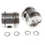 128718 | Piston and Rings | Oversize .020" | Single Cylinder | David Brown 780 880 885 995 996 1190 1194 1200 1210 1212 1290 1294 1390 4600 | | K949719 128718 | Piston and Rings | Oversize .020" | Single Cylinder | David Brown 780 880 885 995 996 1190 1194 1200 1210 1212 1290 1294 1390 4600 | | K949719