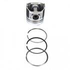124104 | Piston and Rings - Standard | Single Cylinder | Ford 1720 2120 3415 | New Holland Boomer 2030 Boomer 3040 G6030 G6035 L140 L150 L465 L565 LS140 LS150 LS160 LX465 LX565 T1510 T1520 T2210 T2220 T2320 | | SBA115017491 | SBA115017541 | SBA115017491