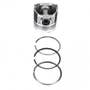 124104 | Piston and Rings - Standard | Single Cylinder | Ford 1720 2120 3415 | New Holland Boomer 2030 Boomer 3040 G6030 G6035 L140 L150 L465 L565 LS140 LS150 LS160 LX465 LX565 T1510 T1520 T2210 T2220 T2320 | | SBA115017491 | SBA115017541 | SBA115017491 124104 | Piston and Rings - Standard | Single Cylinder | Ford 1720 2120 3415 | New Holland Boomer 2030 Boomer 3040 G6030 G6035 L140 L150 L465 L565 LS140 LS150 LS160 LX465 LX565 T1510 T1520 T2210 T2220 T2320 | | SBA115017491 | SBA115017541 | SBA115017491