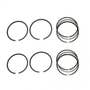 128901 | Piston Ring Set - Standard - 2 Cylinder | John Deere F710 F725 285 320 325 325 345 | 128901 | Piston Ring Set - Standard - 2 Cylinder | John Deere F710 F725 285 320 325 325 345 |