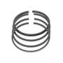 186401 | Piston Ring Set - Standard - Single Cylinder | Yanmar YM1600 YM1700 | | 724450-22500 186401 | Piston Ring Set - Standard - Single Cylinder | Yanmar YM1600 YM1700 | | 724450-22500