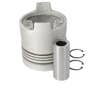 172695 | Piston - Standard - Single Cylinder | Ford 256 4610 5000 5600 5700 6600 6700 | | D4NN6108AA | EDPN6102A 172695 | Piston - Standard - Single Cylinder | Ford 256 4610 5000 5600 5700 6600 6700 | | D4NN6108AA | EDPN6102A