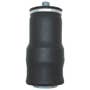 125382 | Pneumatic Planter Air Spring | White 8816 8824 | | 700736342 125382 | Pneumatic Planter Air Spring | White 8816 8824 | | 700736342