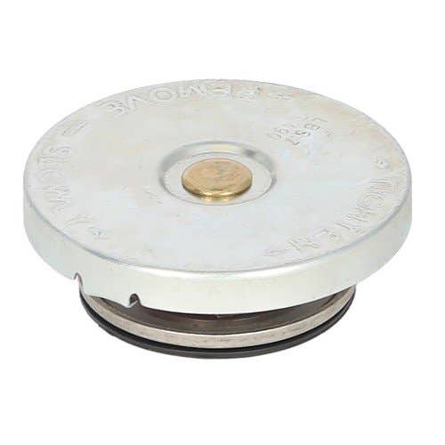 124606 | Radiator Cap | Ford FW20 FW30 FW40 FW60 | International | Farmall | IH B414 276 354 374 384 434 2300A 3434 |  | SFD10021 | 3111424R91