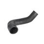 159304 | Radiator Hose - Lower | Massey Ferguson 399 | | 1695564M1 159304 | Radiator Hose - Lower | Massey Ferguson 399 | | 1695564M1