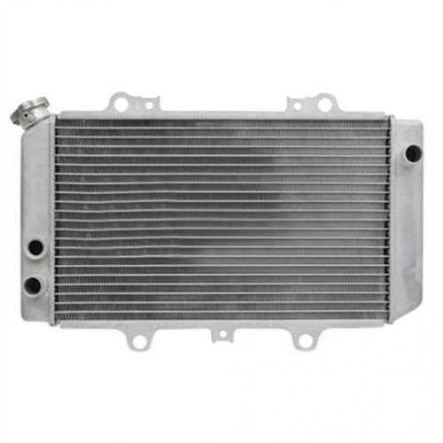 152105 | Radiator | Yamaha Grizzly 660 |  | 5KM-12461-00-00