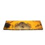 431311 | Rear Counter Weight with Drawbar | Case 1737 | | D55528 431311 | Rear Counter Weight with Drawbar | Case 1737 | | D55528