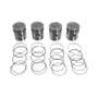 185402 | Rebore Kit - .020" Oversize | Four Cylinder | International | Farmall | IH C60 Cub Cub Lo-Boy | 185402 | Rebore Kit - .020" Oversize | Four Cylinder | International | Farmall | IH C60 Cub Cub Lo-Boy |