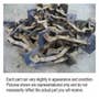 411403 | Return Elevator Chain | John Deere 6600 6601 6602 6620 6622 7700 7701 7720 7721 | | AH96388 411403 | Return Elevator Chain | John Deere 6600 6601 6602 6620 6622 7700 7701 7720 7721 | | AH96388