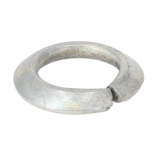 174526 | Rim Washer | Belarus 505 510 525 530 532 560 562 570 572 800 802 805 820 822 825 900 902 905 920 922 925 1025 5011 5011L 5045 5045L 5111 5145 6011 6045 6311 6345 8011 8011L 8021 8311 8345 9011 9011L 9021 9045 9311 |  | 50-3104029-01