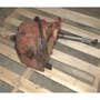 432871 | Rotor Drive Housing Assembly | Case IH 1680 1682 1688 2188 | | 1315328C4 432871 | Rotor Drive Housing Assembly | Case IH 1680 1682 1688 2188 | | 1315328C4