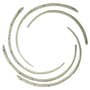 163766 | Rotor Transition Cone Vane Kit | Case IH 7010 7088 7120 8010 8120 | | 87298773 163766 | Rotor Transition Cone Vane Kit | Case IH 7010 7088 7120 8010 8120 | | 87298773