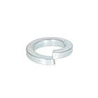 164350 | Spring Washer |