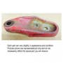 496964 | Steering Cylinder Anchor | Case IH 1660 1680 | International | Farmall | IH 1460 1480 | | 186598C1 496964 | Steering Cylinder Anchor | Case IH 1660 1680 | International | Farmall | IH 1460 1480 | | 186598C1