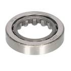 124551 | Steering Shaft Bearing | Lower | FIAT 450 480 500 540 550 600 640 | White 2-50 2-60 | Allis Chalmers 5050 | Oliver 1250 1265 1270 1355 1365 1370 | | 4654656 | 4653165 | 31-2900136 | 998932 | 31-2900225