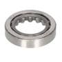 124551 | Steering Shaft Bearing | Lower | FIAT 450 480 500 540 550 600 640 | White 2-50 2-60 | Allis Chalmers 5050 | Oliver 1250 1265 1270 1355 1365 1370 | | 4654656 | 4653165 | 31-2900136 | 998932 | 31-2900225 124551 | Steering Shaft Bearing | Lower | FIAT 450 480 500 540 550 600 640 | White 2-50 2-60 | Allis Chalmers 5050 | Oliver 1250 1265 1270 1355 1365 1370 | | 4654656 | 4653165 | 31-2900136 | 998932 | 31-2900225