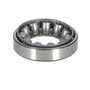 111857 | Steering Shaft Thrust Bearing - Cup And Cone | Ford NAA 8N 600 601 611 620 621 630 631 640 641 650 651 660 661 671 681 800 801 811 820 | | 8N3571 | 180549M1 | 1L6770 | 1L6769 | 8N3552 | 180526M1 | 1L6769 | 1L6770 | C5NN3552A | 1L6770 | 1L6769 111857 | Steering Shaft Thrust Bearing - Cup And Cone | Ford NAA 8N 600 601 611 620 621 630 631 640 641 650 651 660 661 671 681 800 801 811 820 | | 8N3571 | 180549M1 | 1L6770 | 1L6769 | 8N3552 | 180526M1 | 1L6769 | 1L6770 | C5NN3552A | 1L6770 | 1L6769