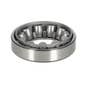 111857 | Steering Shaft Thrust Bearing - Cup And Cone | Ford NAA 8N 600 601 611 620 621 630 631 640 641 650 651 660 661 671 681 800 801 811 820 | | 8N3571 | 180549M1 | 1L6770 | 1L6769 | 8N3552 | 180526M1 | 1L6769 | 1L6770 | C5NN3552A | 1L6770 | 1L6769 111857 | Steering Shaft Thrust Bearing - Cup And Cone | Ford NAA 8N 600 601 611 620 621 630 631 640 641 650 651 660 661 671 681 800 801 811 820 | | 8N3571 | 180549M1 | 1L6770 | 1L6769 | 8N3552 | 180526M1 | 1L6769 | 1L6770 | C5NN3552A | 1L6770 | 1L6769