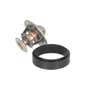 167012 | Thermostat | Case W14B 40XT 60XT 70XT 75XT 85XT 90XT 480F 480FLL 521D 550E 550G 550H 570LXT 570MXT 580K 580L 580M 580SK 580 Super L 580 Super M 584E 585E 585G 586E 586G 588G 590 590 Super L 590 Super M 621 621B 621C 621D | | J912587 | 47616858 167012 | Thermostat | Case W14B 40XT 60XT 70XT 75XT 85XT 90XT 480F 480FLL 521D 550E 550G 550H 570LXT 570MXT 580K 580L 580M 580SK 580 Super L 580 Super M 584E 585E 585G 586E 586G 588G 590 590 Super L 590 Super M 621 621B 621C 621D | | J912587 | 47616858