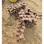 Used Bobcat 863 Skid Steer Loader parts. Used Bobcat 863 Skid Steer Loader parts.