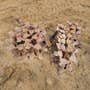 Used Bobcat 863 Skid Steer Loader parts. Used Bobcat 863 Skid Steer Loader parts.