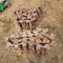 Used Bobcat 863 Skid Steer Loader parts. Used Bobcat 863 Skid Steer Loader parts.