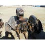 Used Case 300 Tractor parts. Used Case 300 Tractor parts.