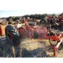 Used Case 800 Tractor parts. Used Case 800 Tractor parts.