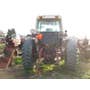 Used International 1086 Tractor parts. Used International 1086 Tractor parts.